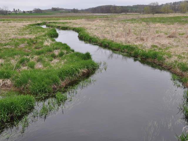 Farm groups and some legislators fear the proposed Clean Water Act rule would give EPA authority to regulate tributaries, streams and other intermittent water bodies on U.S. farms. (DTN file photo by Chris Clayton)